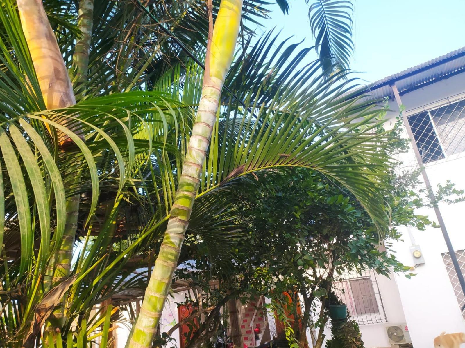 Hosteria Del Puerto ปูแอร์โตโลเปซ ภายนอก รูปภาพ